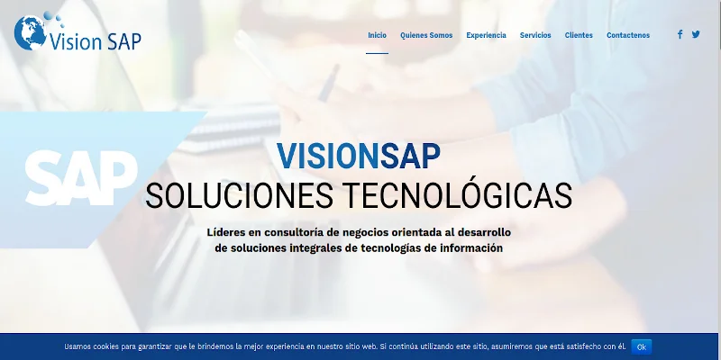 VisionSAP - Landing Page para ofercer servicios de recurso persona con conocimientos de herramienta SAP. - Proyecto de Fintech desarrollado por Providesys Chile